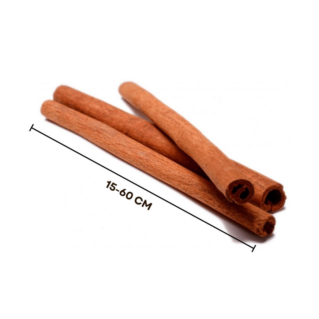 Long Cassia Stick