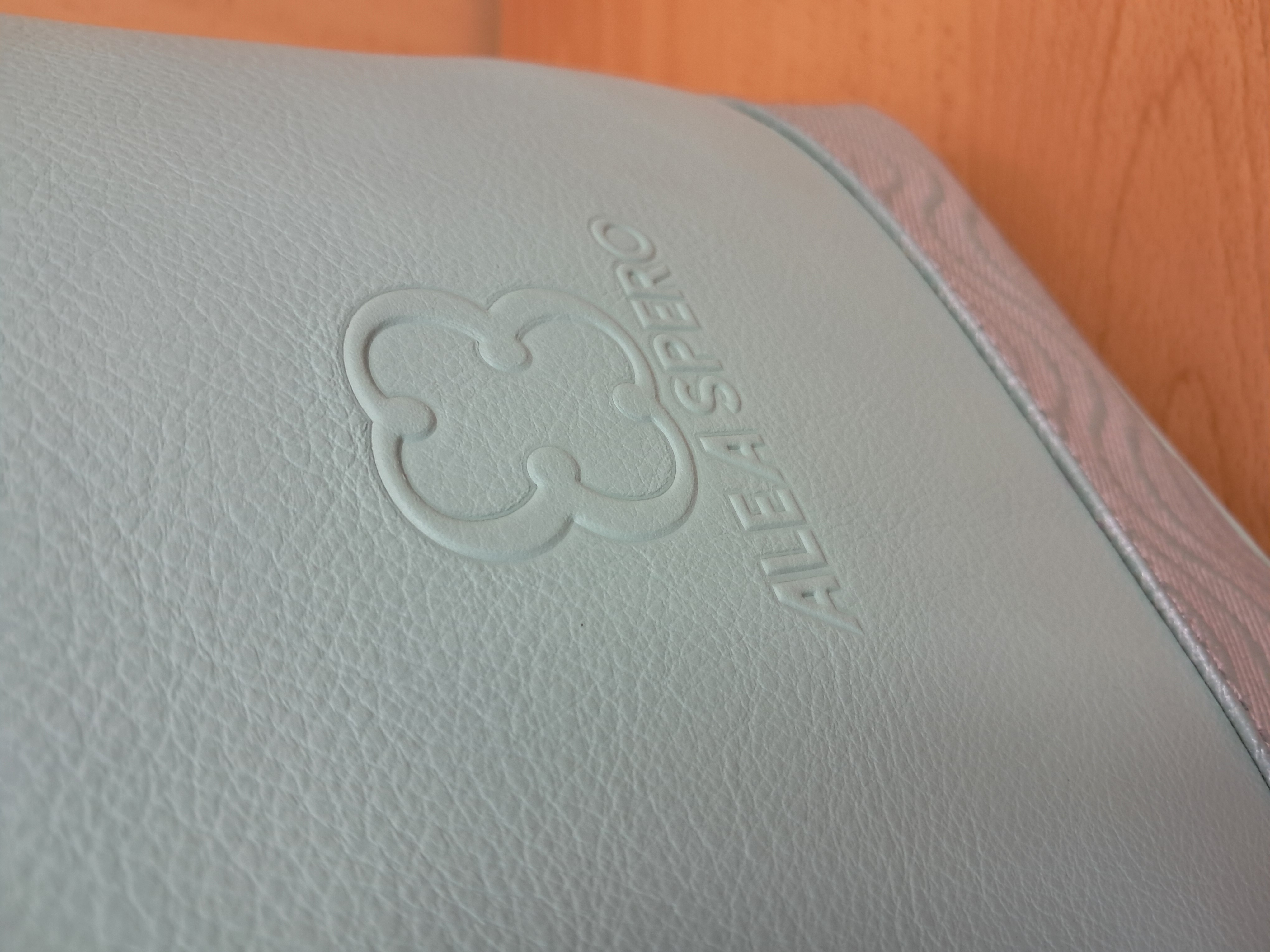 BOLSO DE MANO (ALEA SPERO) Ref.15606