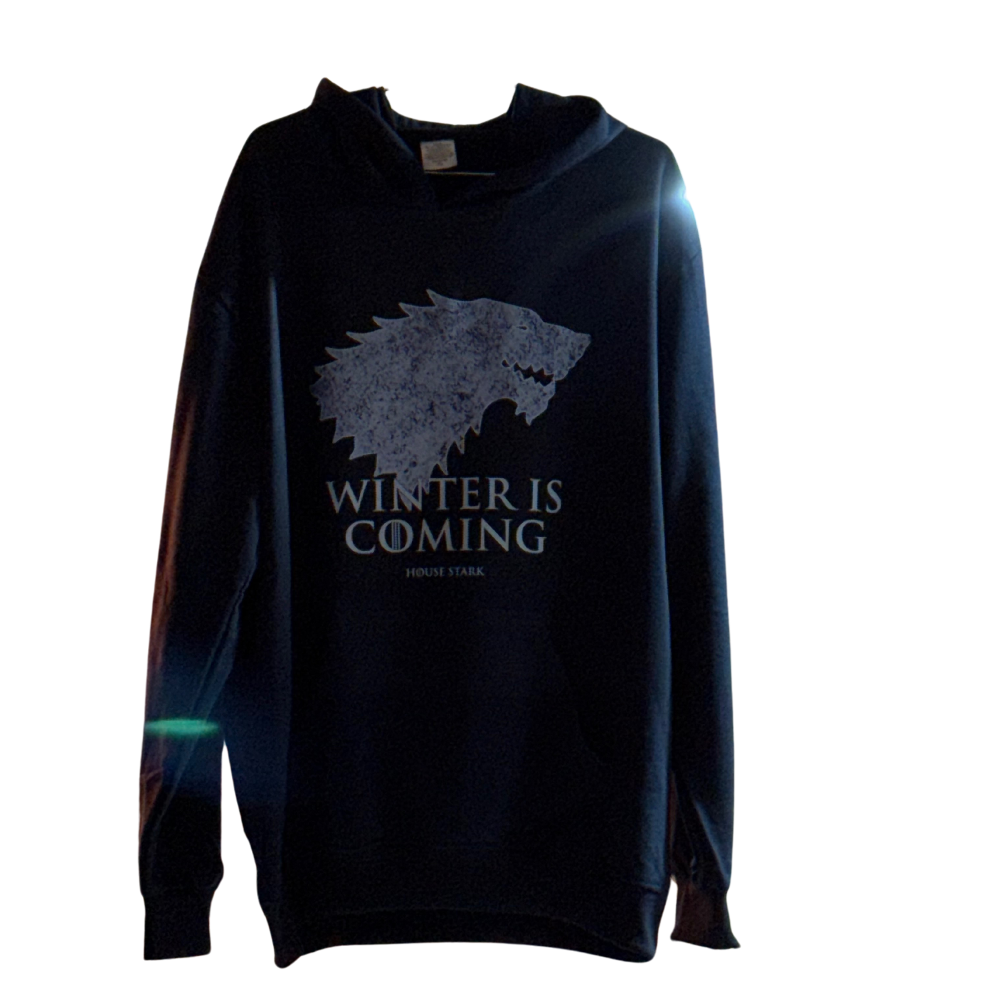 Winter Is Coming Hoodie.