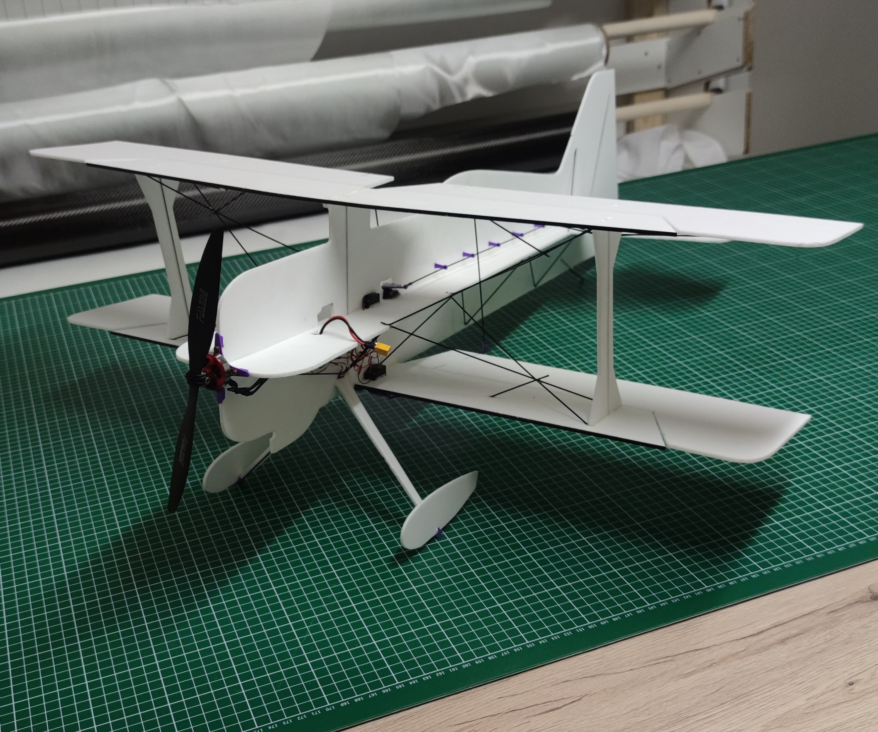 Pitts Thor für In und Outdoor