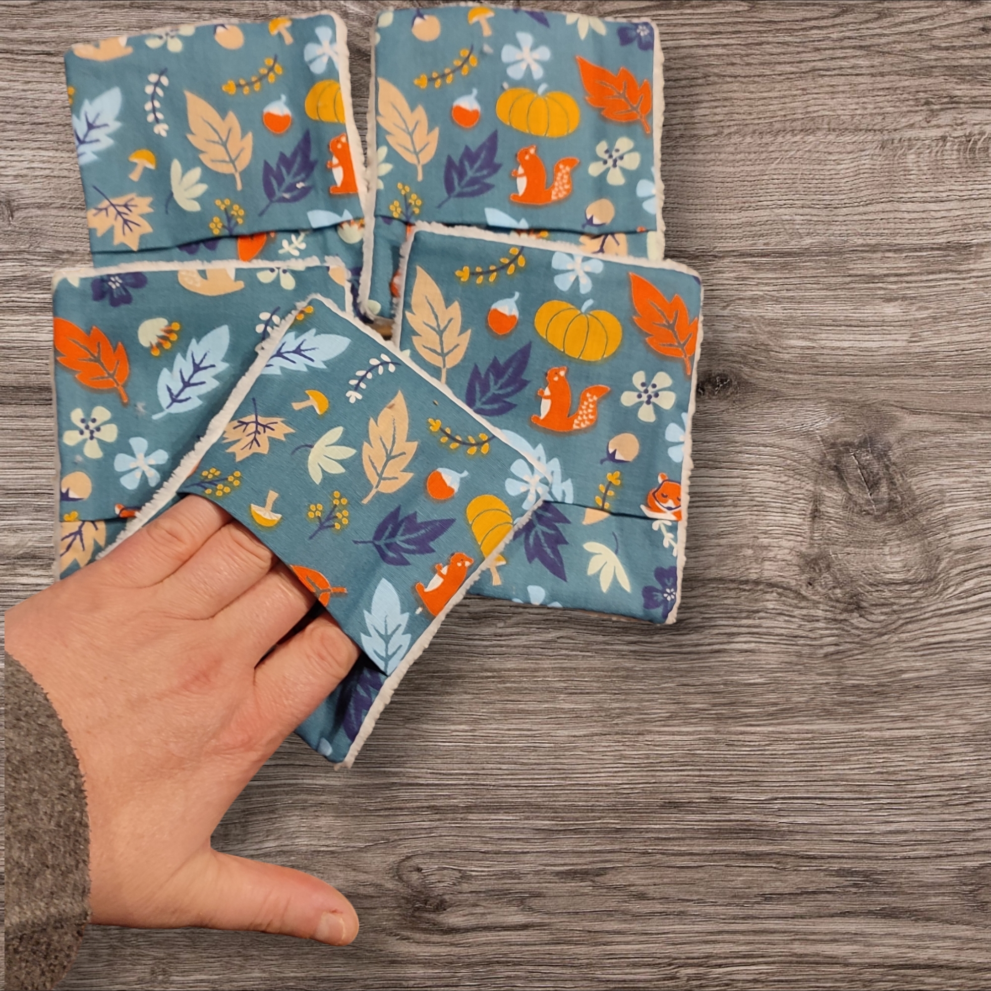 Lot de 5 gants d'apprentissage pour enfant , motifs animaux de la forêt 