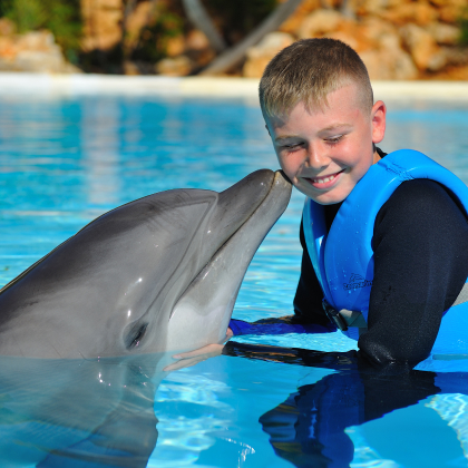 Dolphin Emotions. Programa Encounter