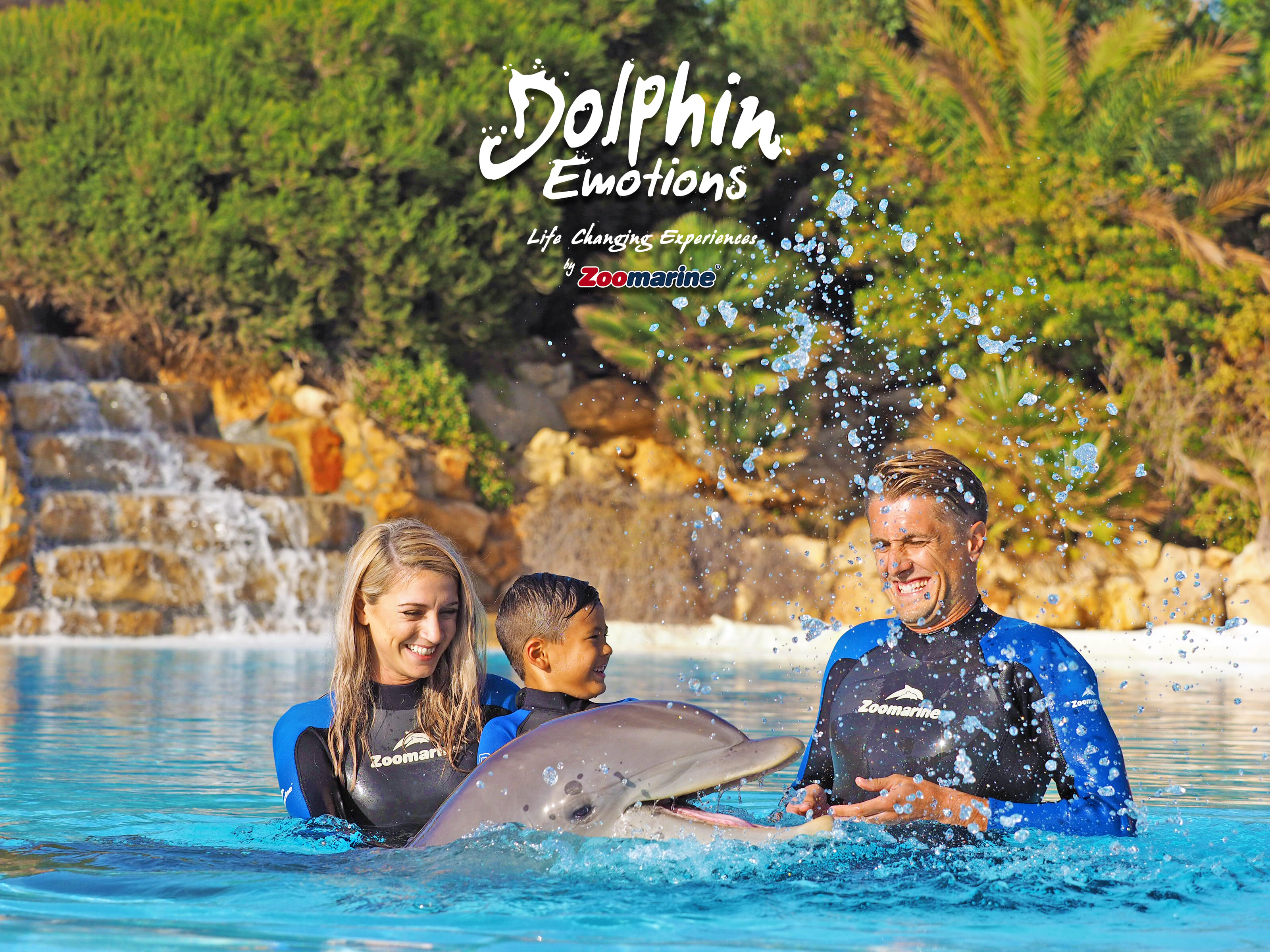 Dolphin Emotions Encounter