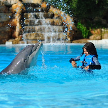 Dolphin Emotions. Programa Encounter