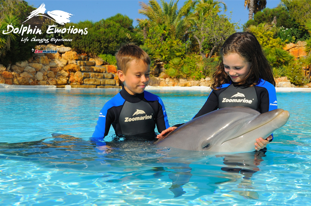 Dolphin Emotions Encounter