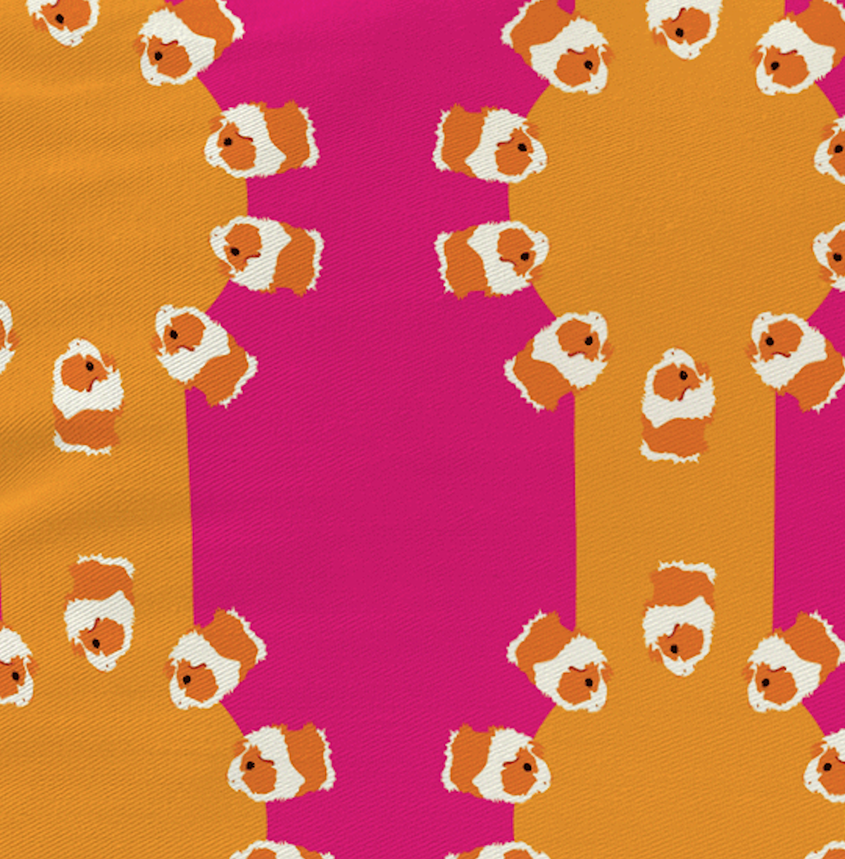 Geheimrat der Meerschweine