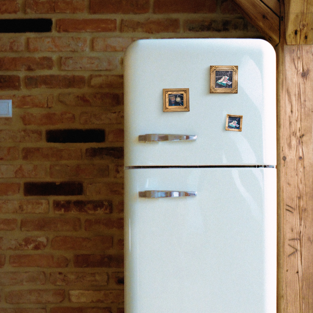 "Still Life: Untitled with Noodles" Magnet