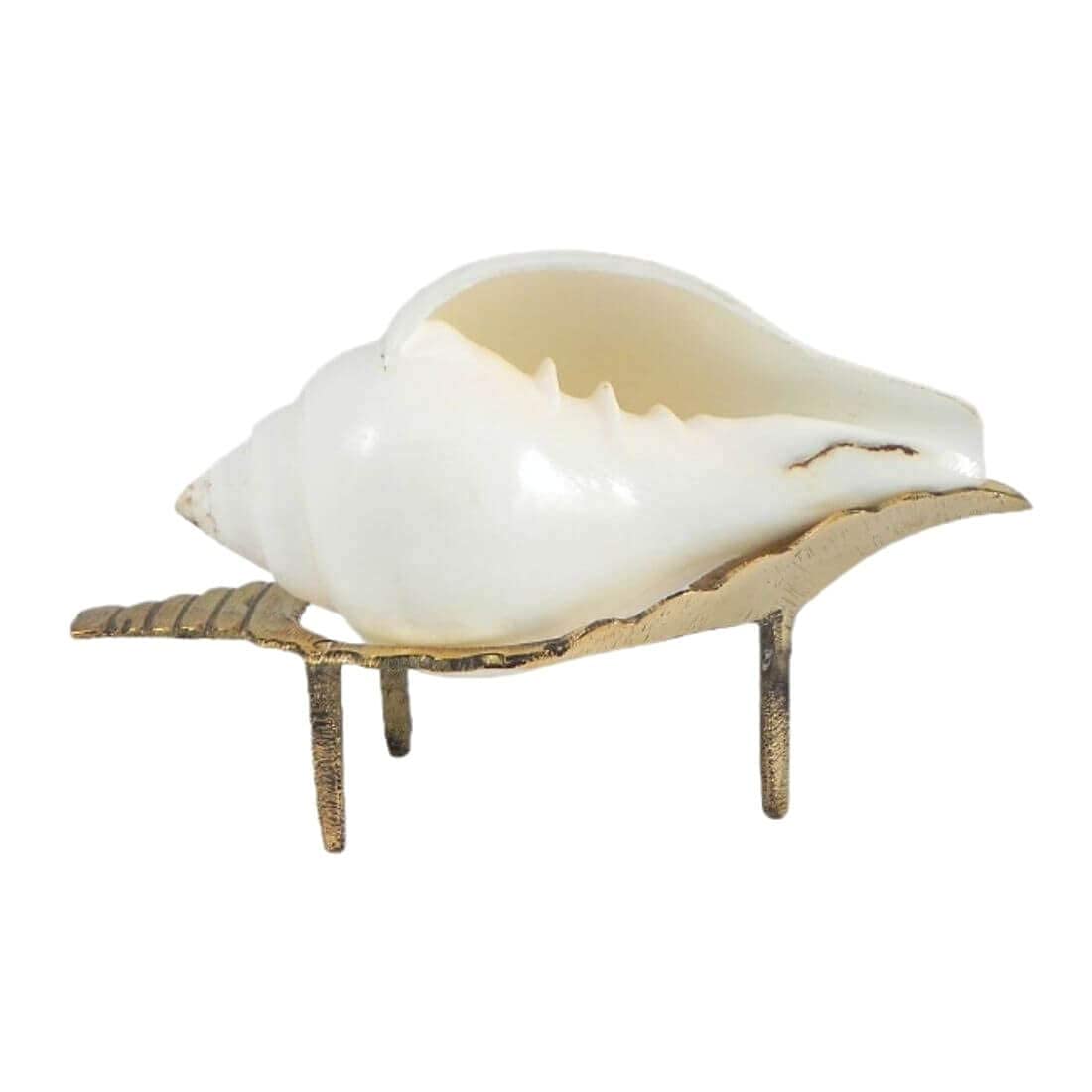 Krushnesh Creations Jal Shankh, Natural Puja Shankha/Jal Sankha | White Conch Shells with Sankha Stand