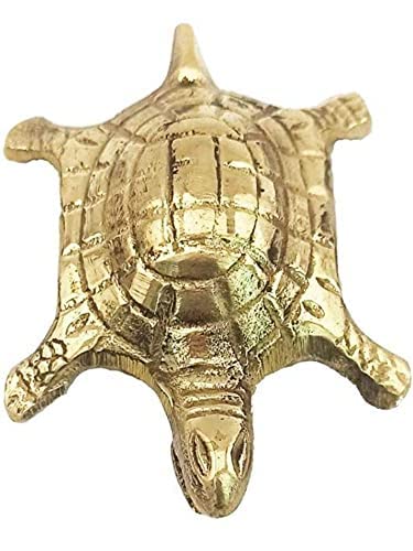 Krushnesh Creations Brass Tortoise