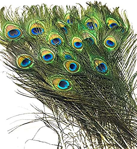 Krushnesh Creations Natural Peacock Feather/Mor Pankh for Decoration (Set of 5, Lengh - 30 cm)