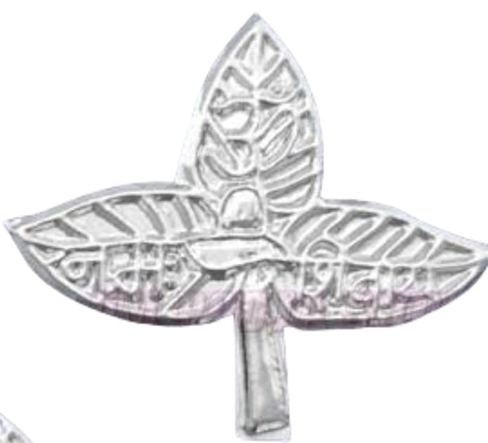 Krushnesh Creations Bilva Patra Belpatra Leaves for Lord Shiva Pooja Abhishek (21 Piece)(LxW=3X3.5 cm) Silver Plated