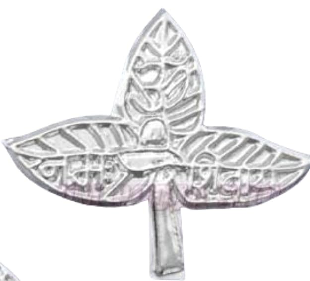 Krushnesh Creations Bilva Patra Belpatra Leaves for Lord Shiva Pooja Abhishek (3 Piece)(LxW=3X3.5 cm) Silver Plated