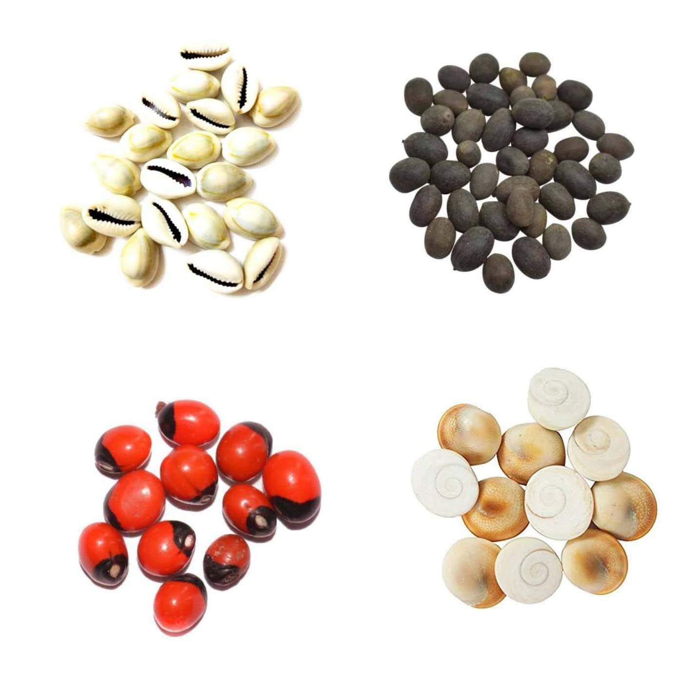 Krushnesh Creations 7 Pcs Peeli Kaudi Yellow Kodi Kowdi Cowries Laxmi kaudi, 7 pcs Gomti Chakra, 7 pcs Kamal Gatta, 7 pcs Lal Gunja for Diwali Pooja