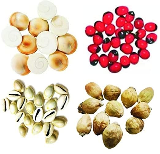 Krushnesh Creations 7 Pcs Peeli Kaudi Yellow Kodi Kowdi Cowries Laxmi kaudi, 7 pcs Gomti Chakra, 7 pcs LAL Gunja, 7 pcs Laghu Narikelam for Diwali Pooja