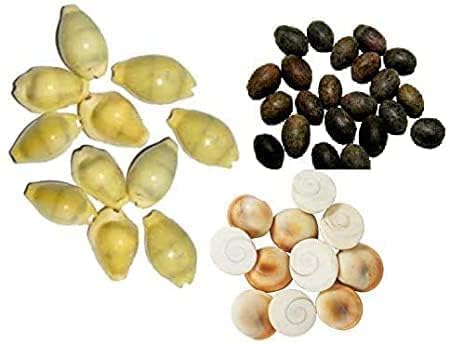 Krushnesh Creations 7 Pcs Peeli Kaudi Yellow Kodi Kowdi Cowries Laxmi kaudi, 7 pcs Gomti Chakra, 7 pcs Kamal Gatta for Diwali Pooja