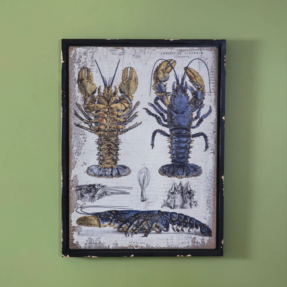 Scientific Blue Lobster Wall Decor 31-inch Height