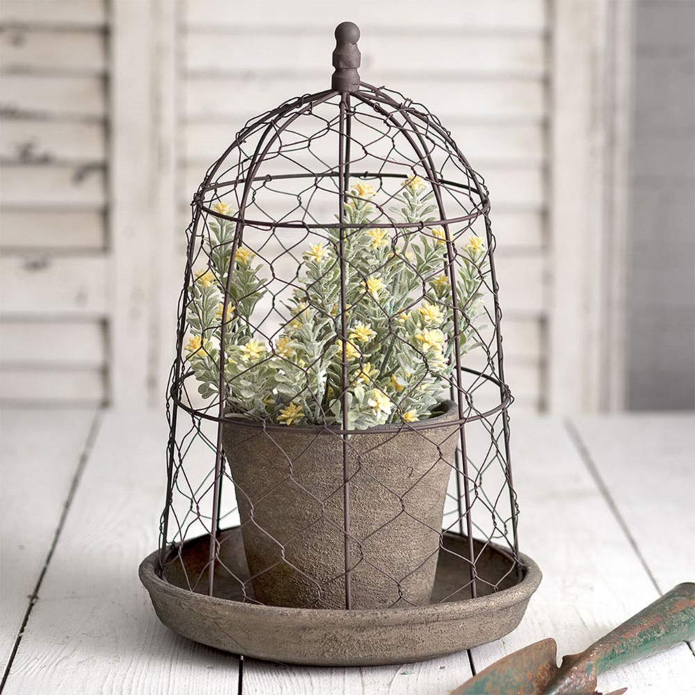 Chicken Wire Cloche with Terra Cotta Pot and Saucer Brown 