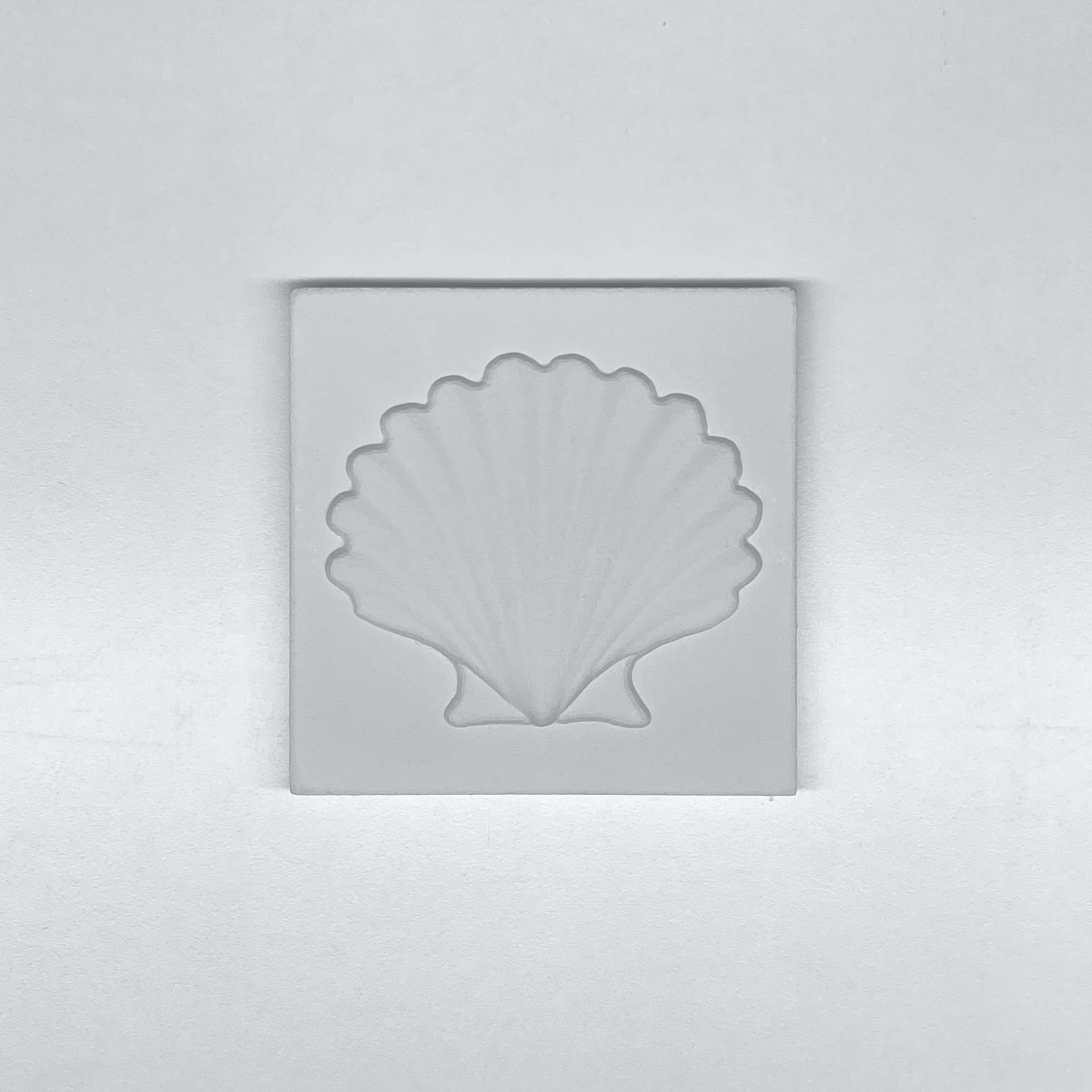 Midye Kabuğu (Shell) Rölyefli Karo