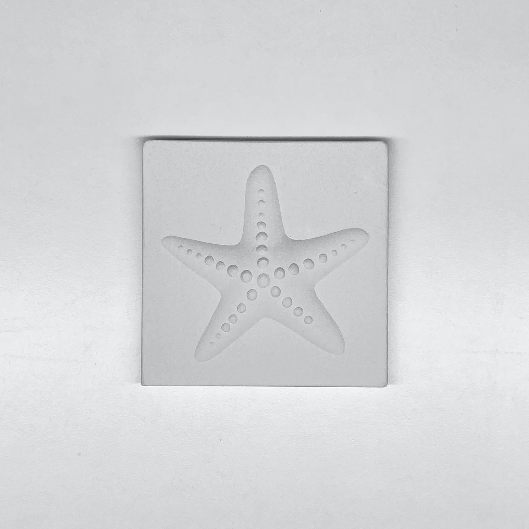 Deniz Yıldızı Rölyefli Karo
