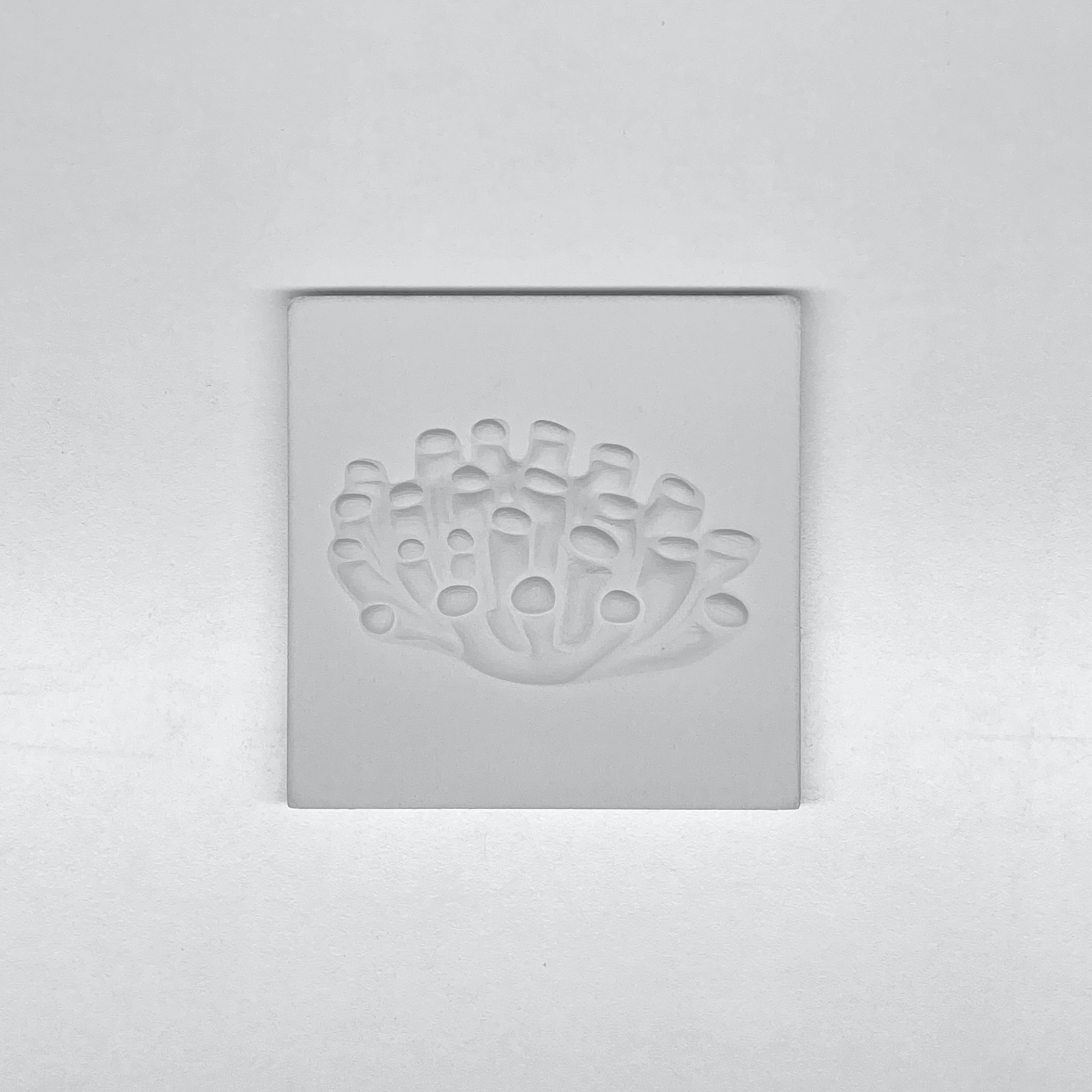 Deniz Mercanı Rölyefli Karo