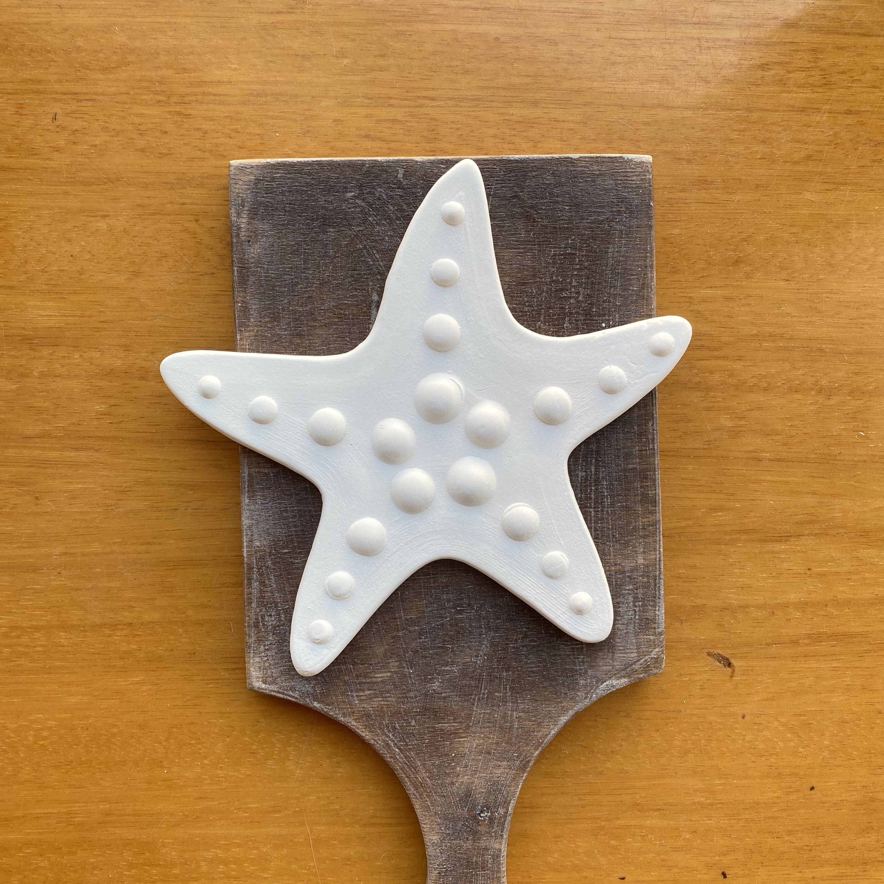 Deniz Yıldızı Büyük Boy