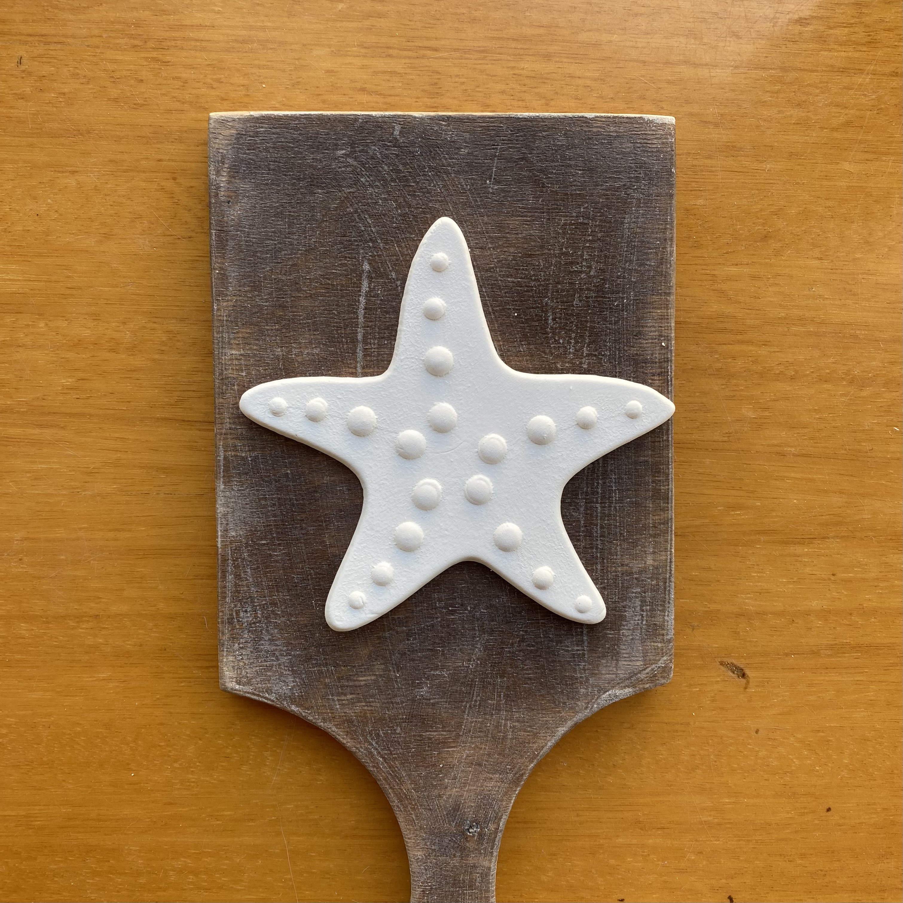 Deniz Yıldızı Orta Boy