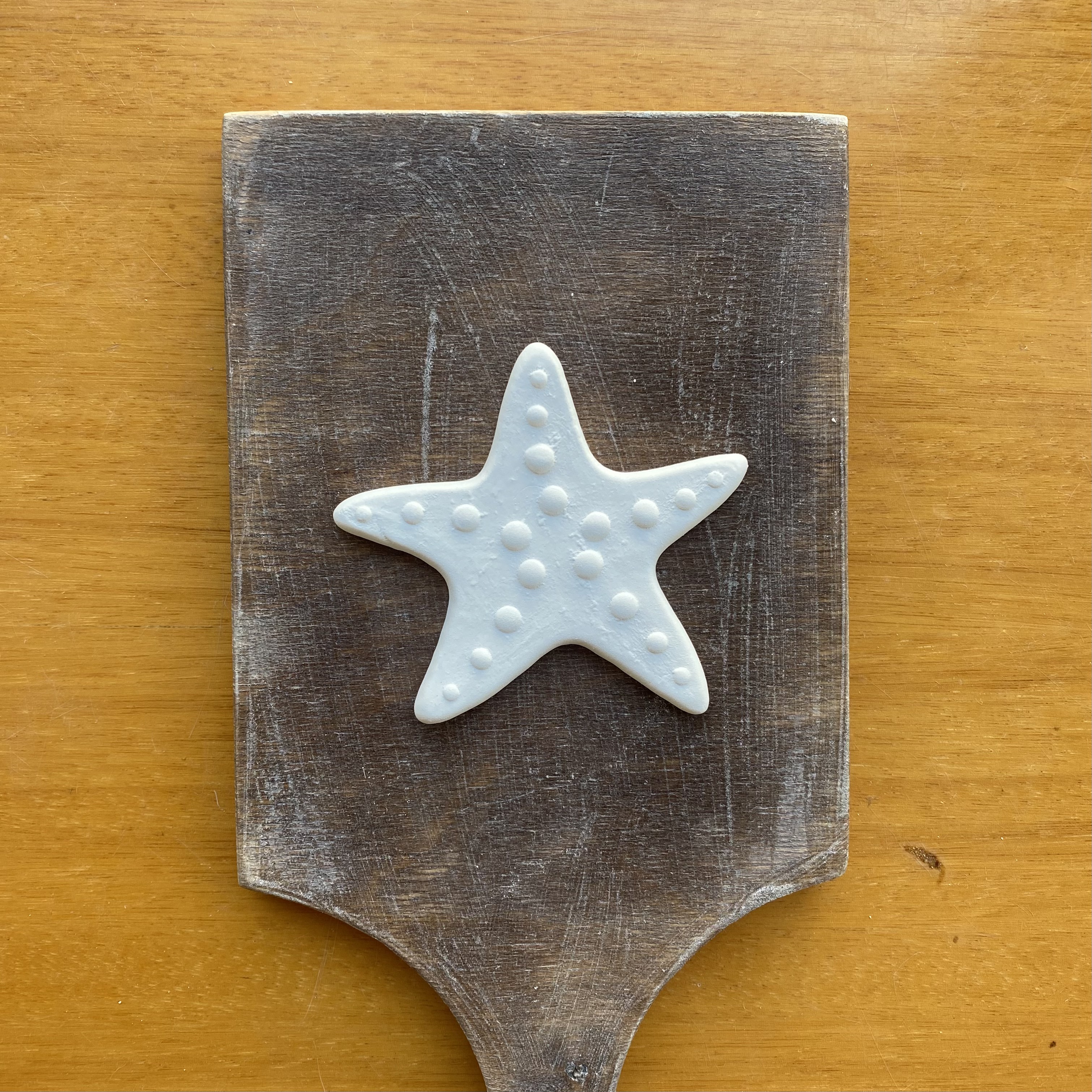 Deniz Yıldızı Küçük Boy