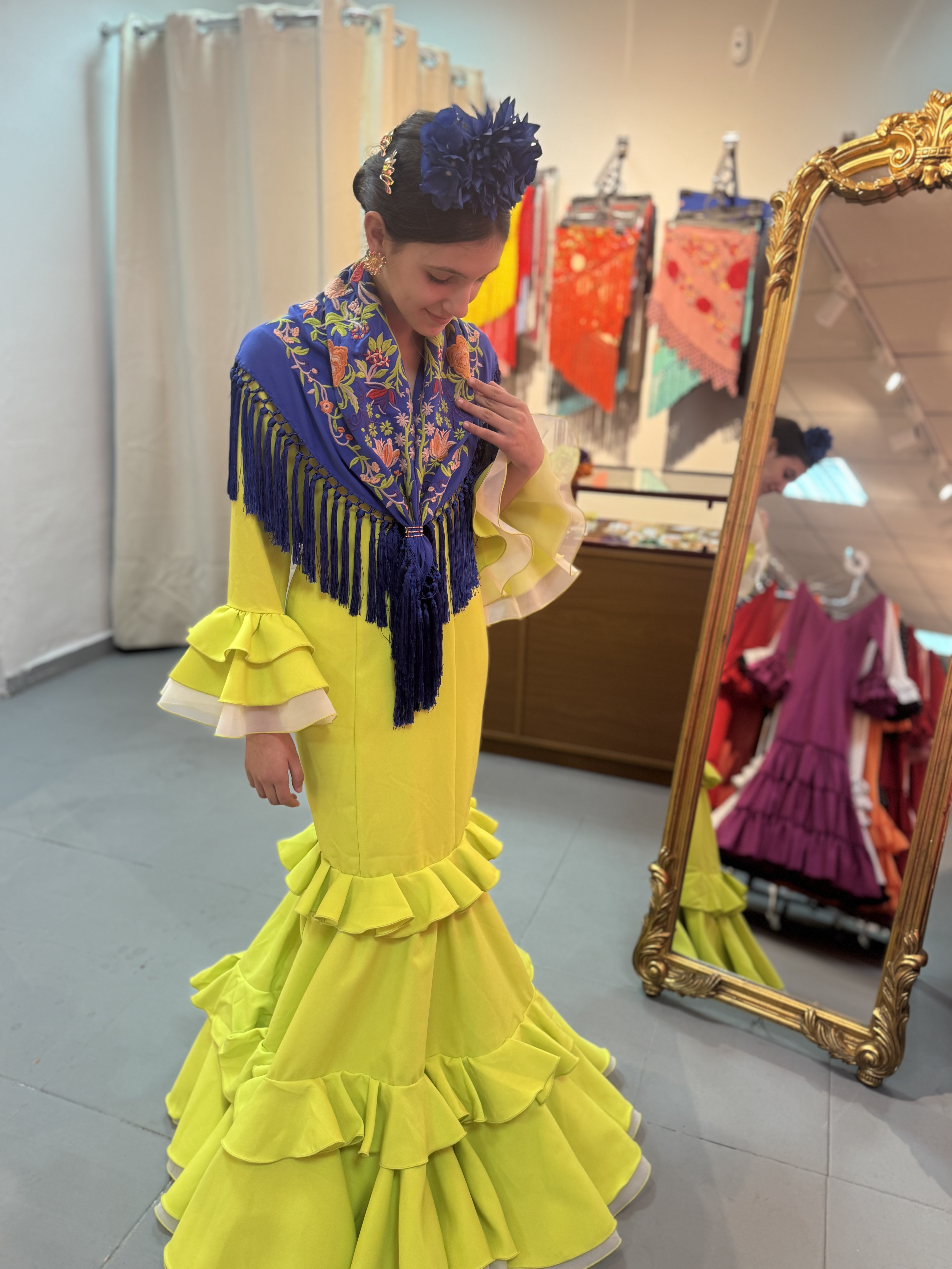 Alicia Manga Volante/ Manga Jamón