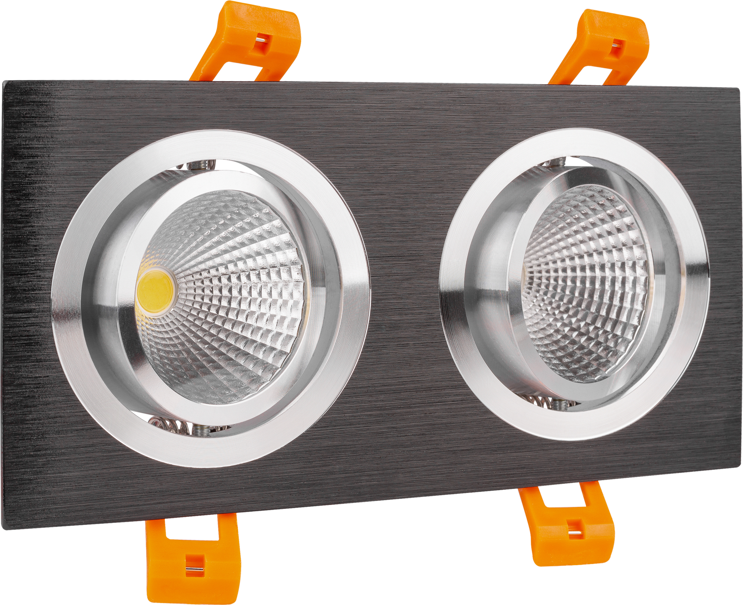 Dual LED Recessed Downlight