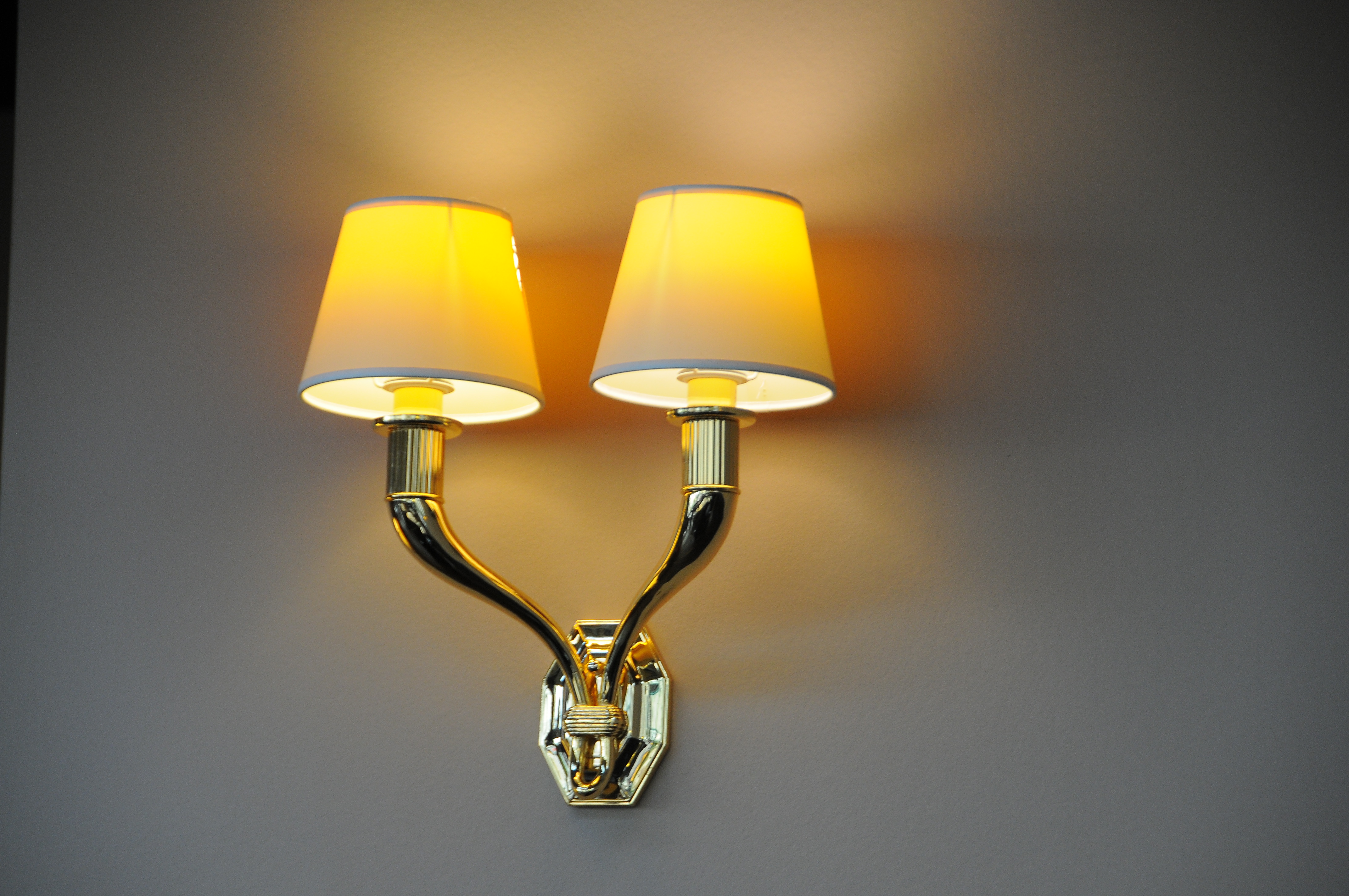 Elegant Wall Sconce