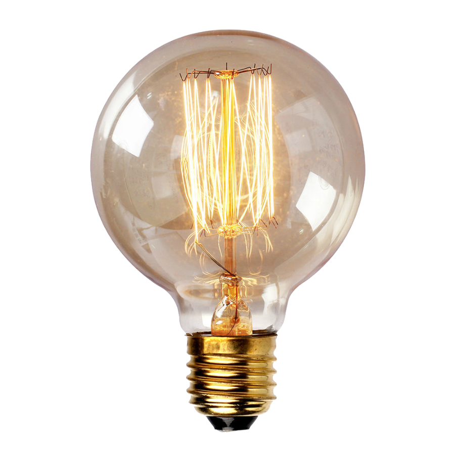 Vintage Edison Bulb