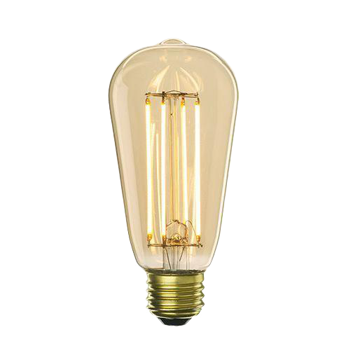 Vintage Edison Bulb