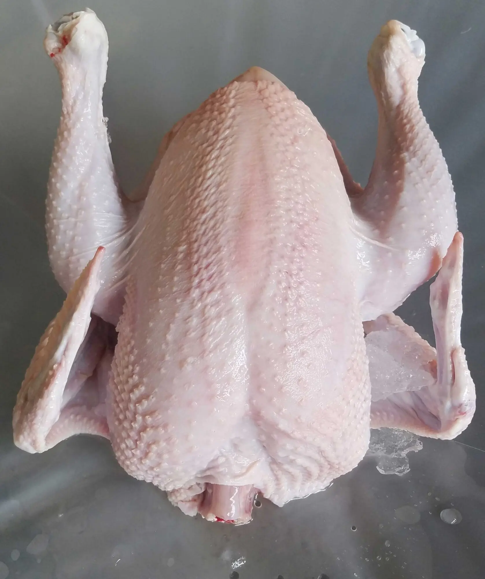 Whole Fresh Meat Chicken - Cornish Cross