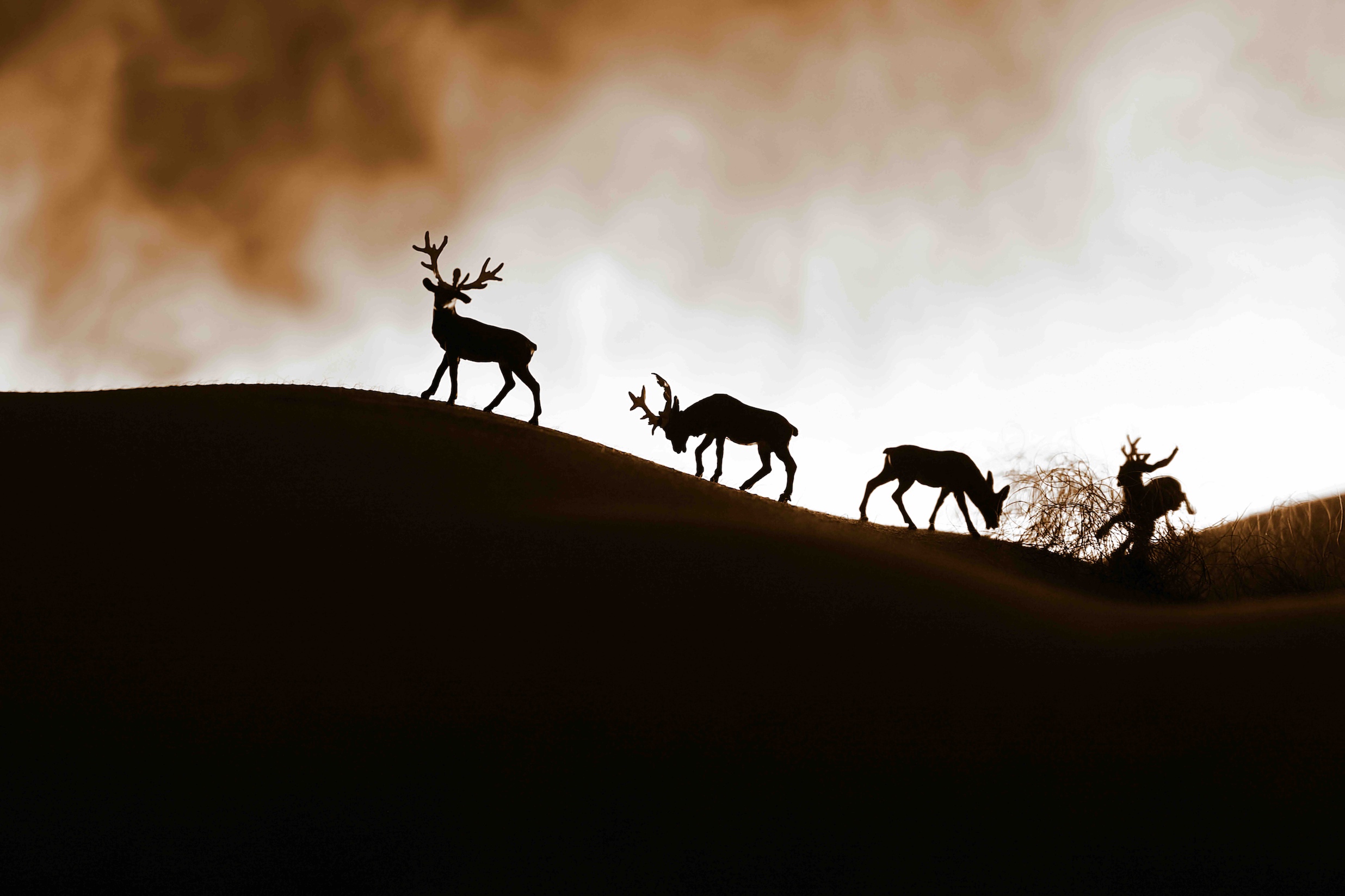 Photographie fine art paysage 60 X 90 cm