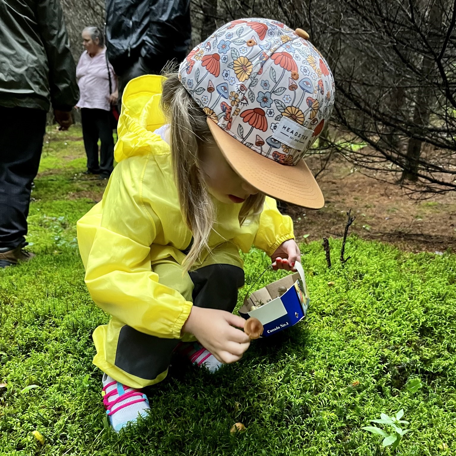 Journée mycologique du 6 septembre 2025