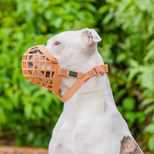 Focinheira Baskerville Wide Fit