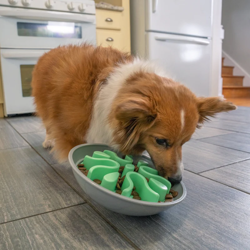 Comedouro lento WOBBLE 