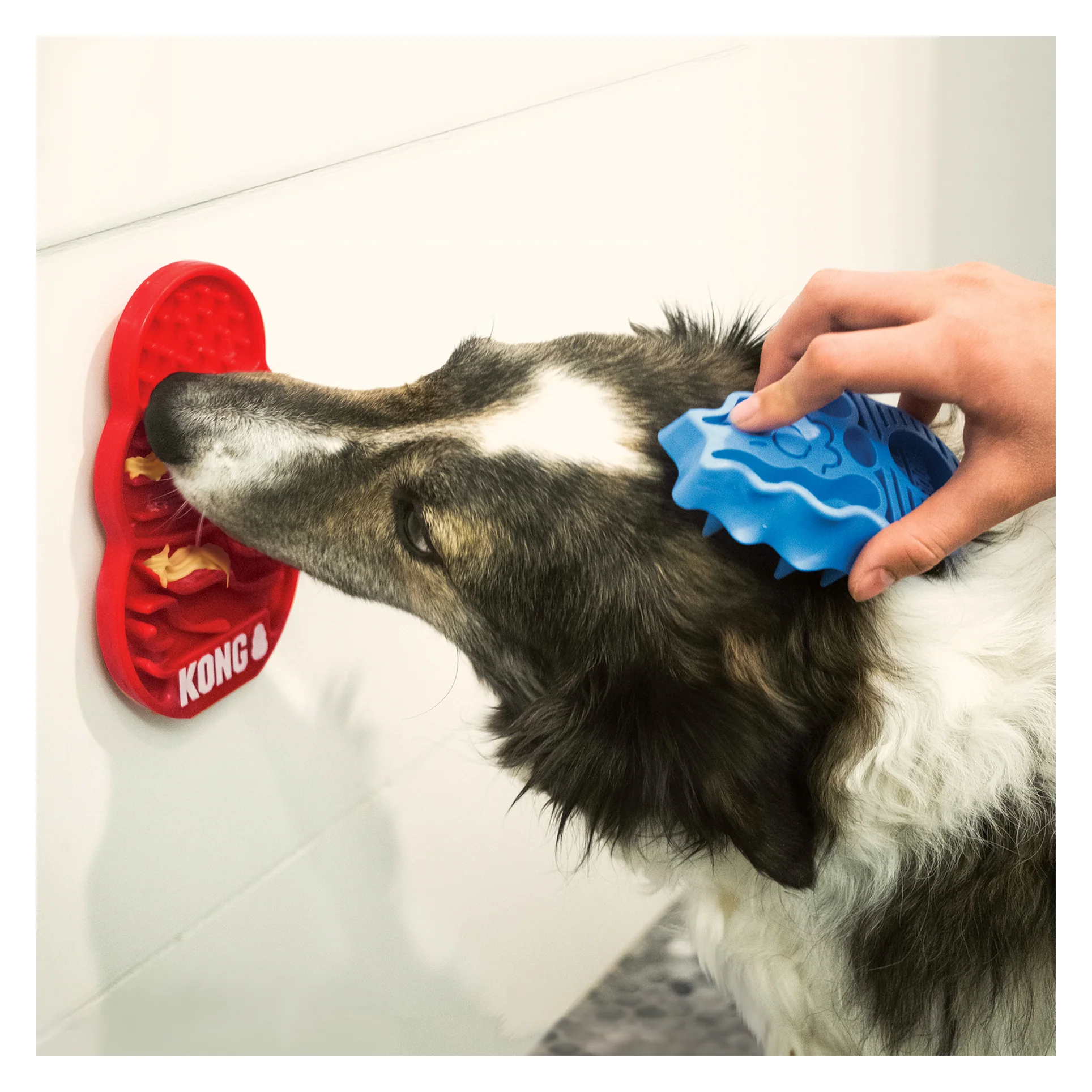 Tapete de Lamber Kong Licks