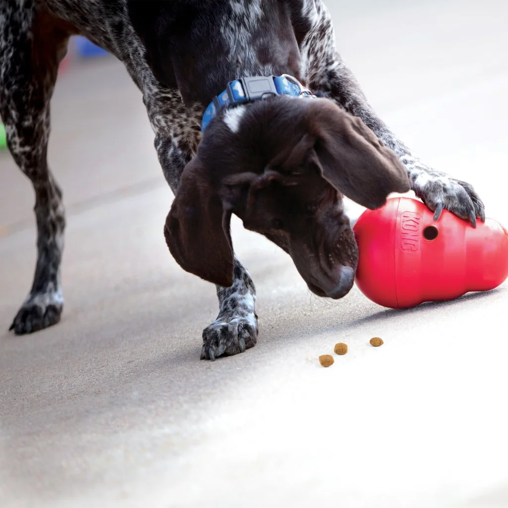 Dispenser KONG Wobbler 
