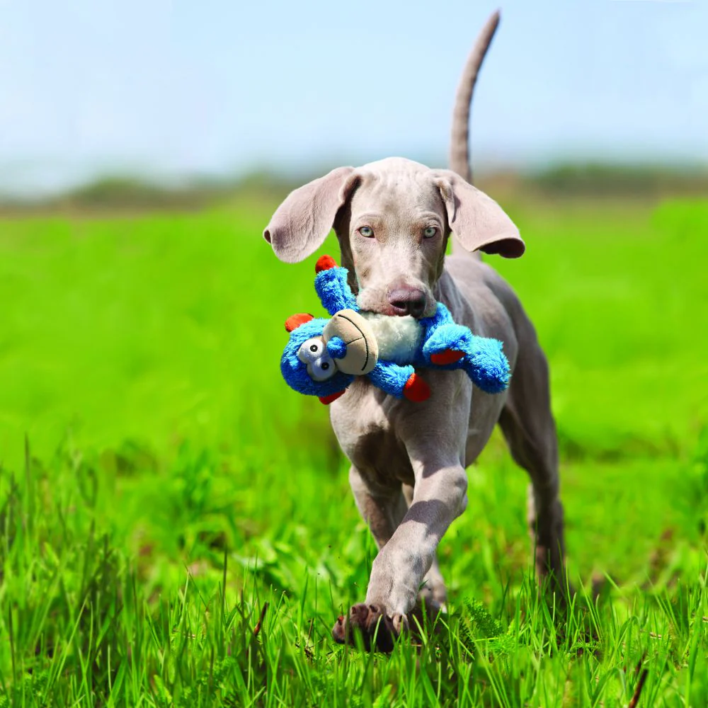 KONG Cross Knots Monkey