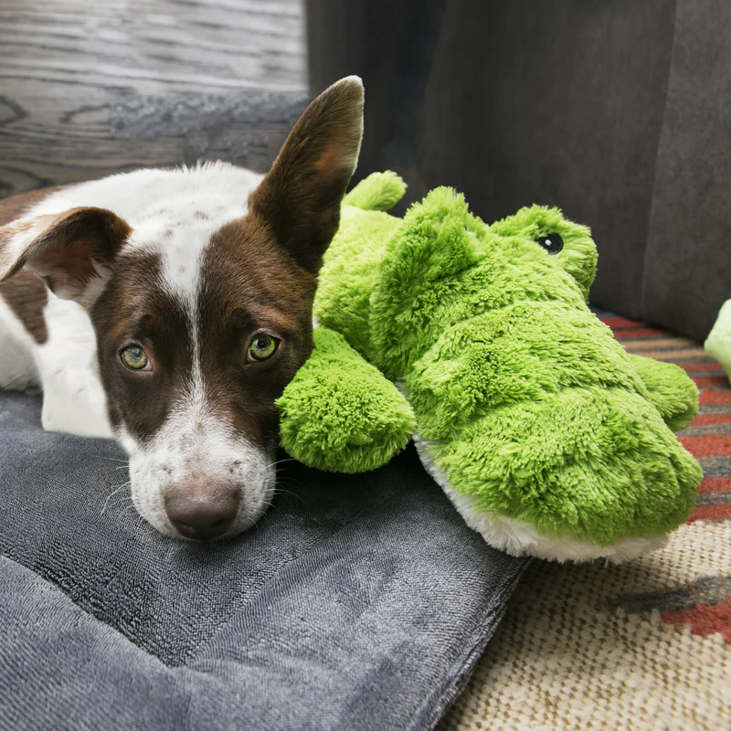 Pelúcia KONG Cozie Ali Alligator