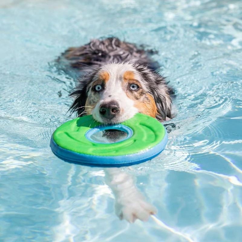 Frisbee CHUCKIT AMPHIBIOUS ZIPFLIGHT / Cor sortida 