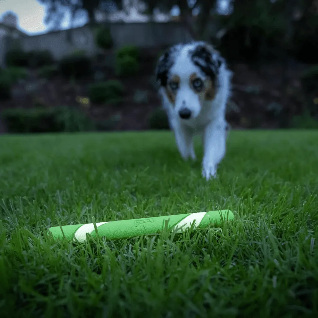 Bastão CHUCKIT ULTRA FETCH STICK GLOW 