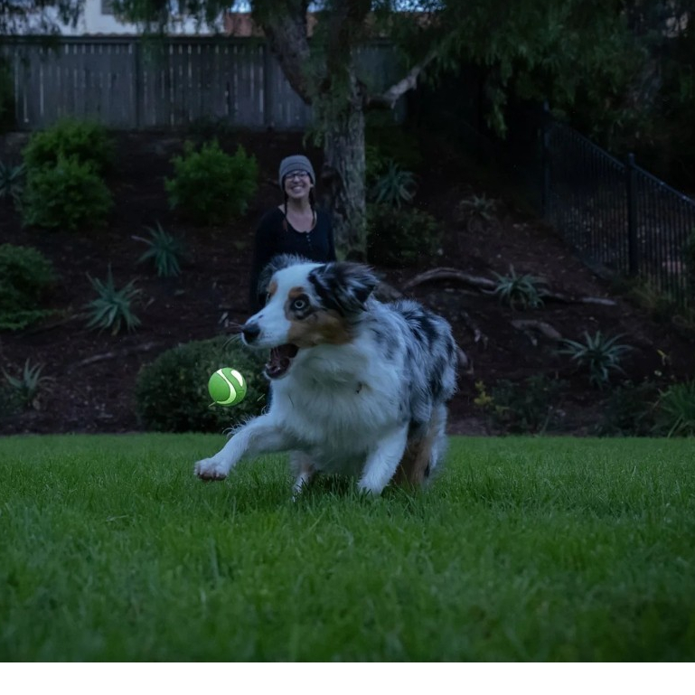 Bola CHUCKIT MAX GLOW ULTRA BALL 