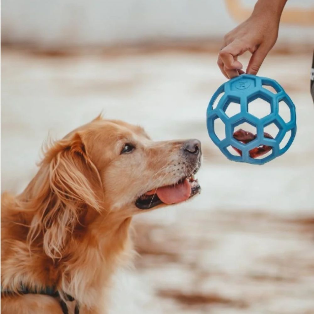 Bola  JW HOL-EE ROLLER