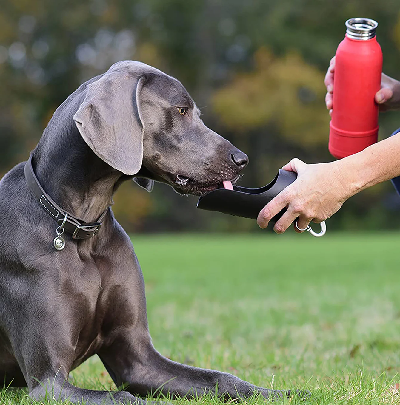 Garrafa KONG H2O INSULATED 740ML