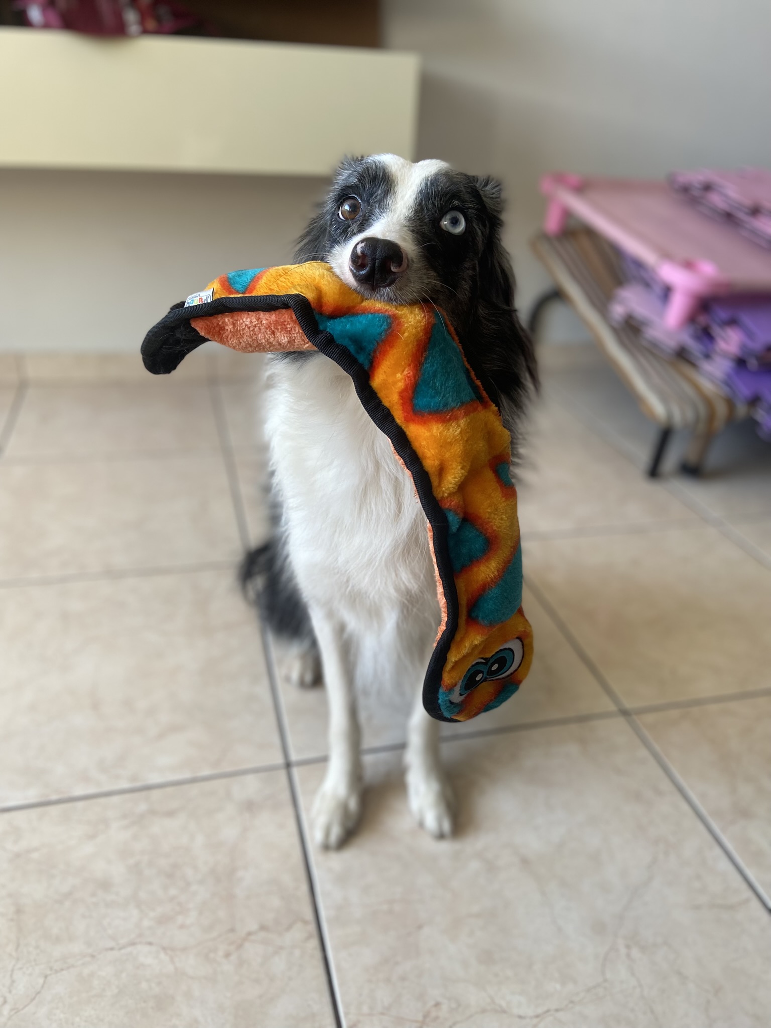 Pelúcia Outward Hound Durablez Snake