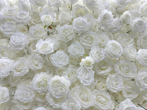 4hrs-Pure White Flower Wall Rental