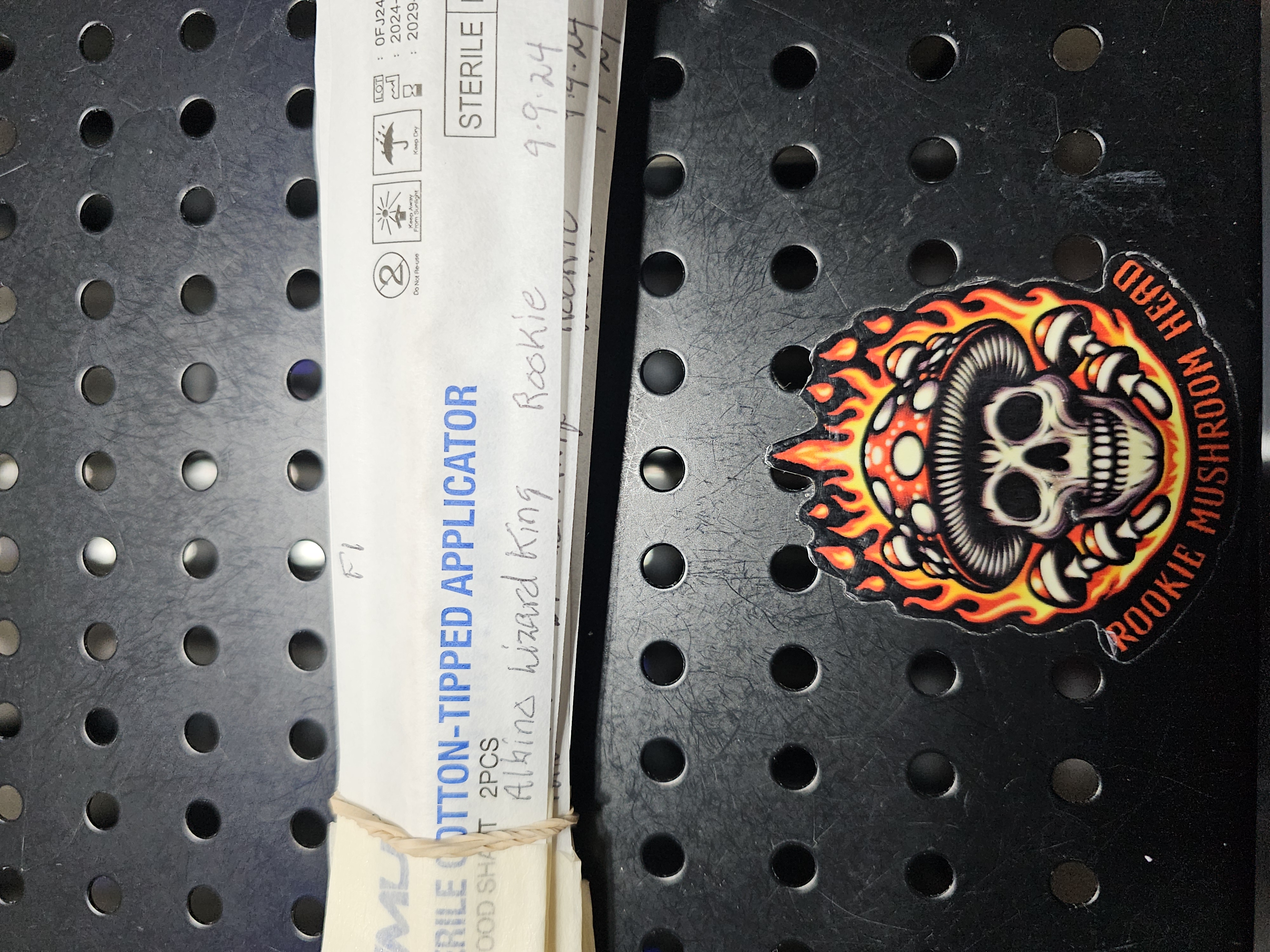 Albino Lizard King swab set for microscopy purposes only 