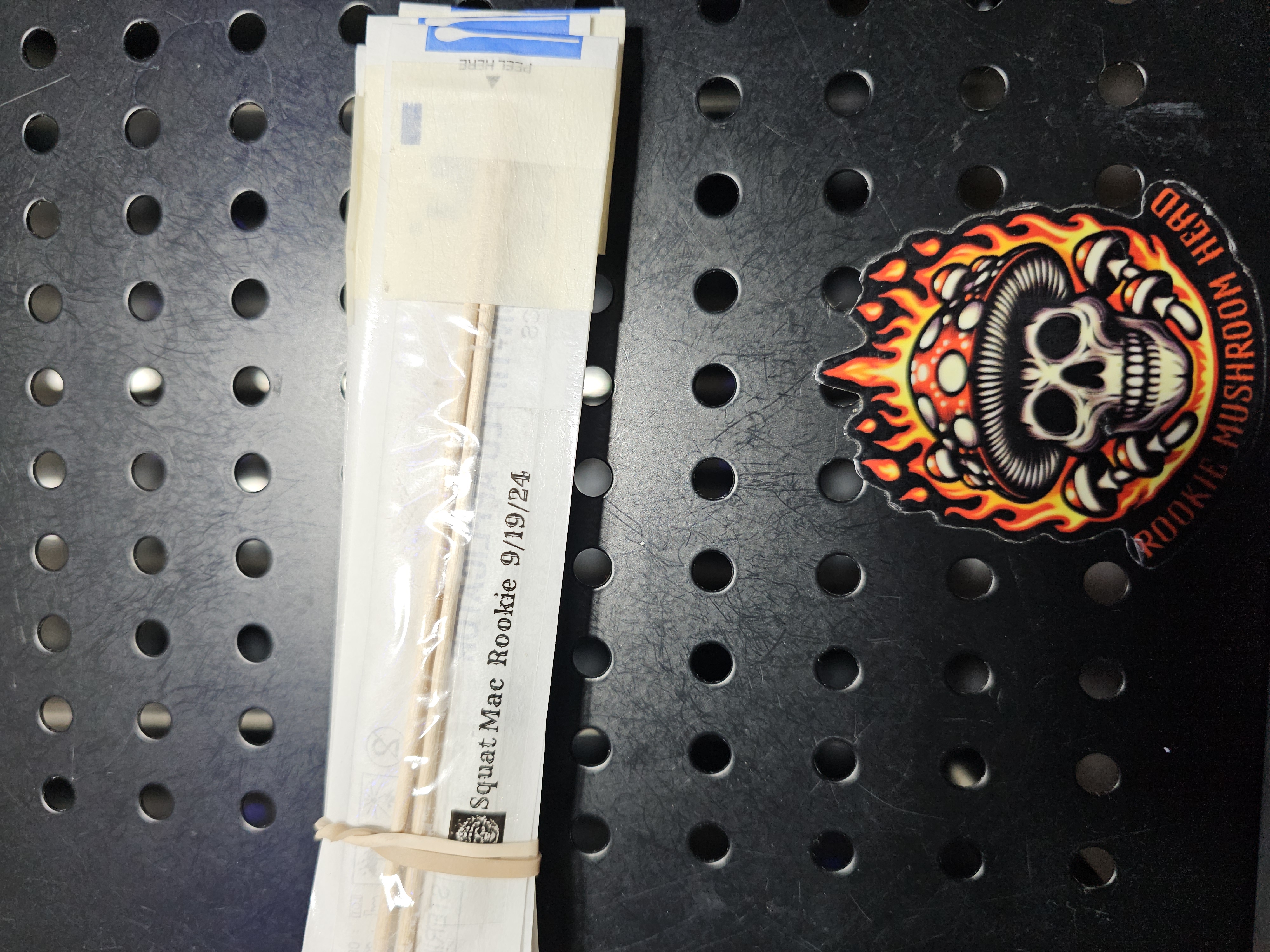 Squat Mac swab set for microscopy purposes only 